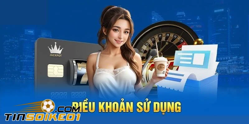Điều khoản sử dụng của arenafootball.co
